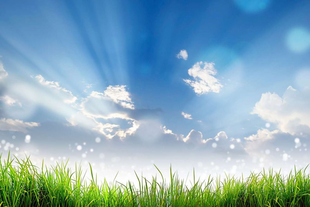 Gras onder prachtige wolken