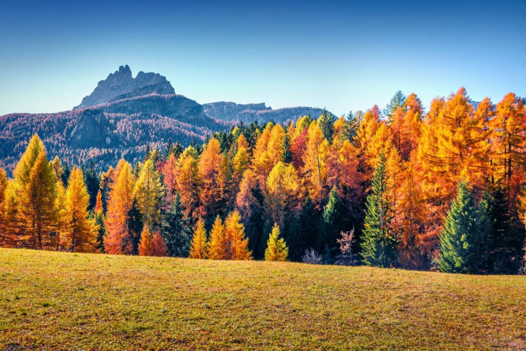 Herfst in de Italiaanse Alpen