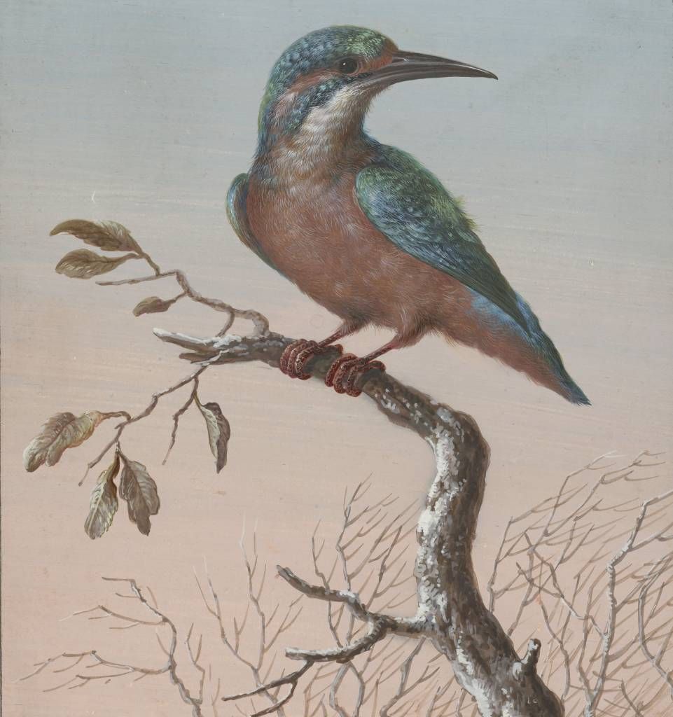 Kingfisher painting