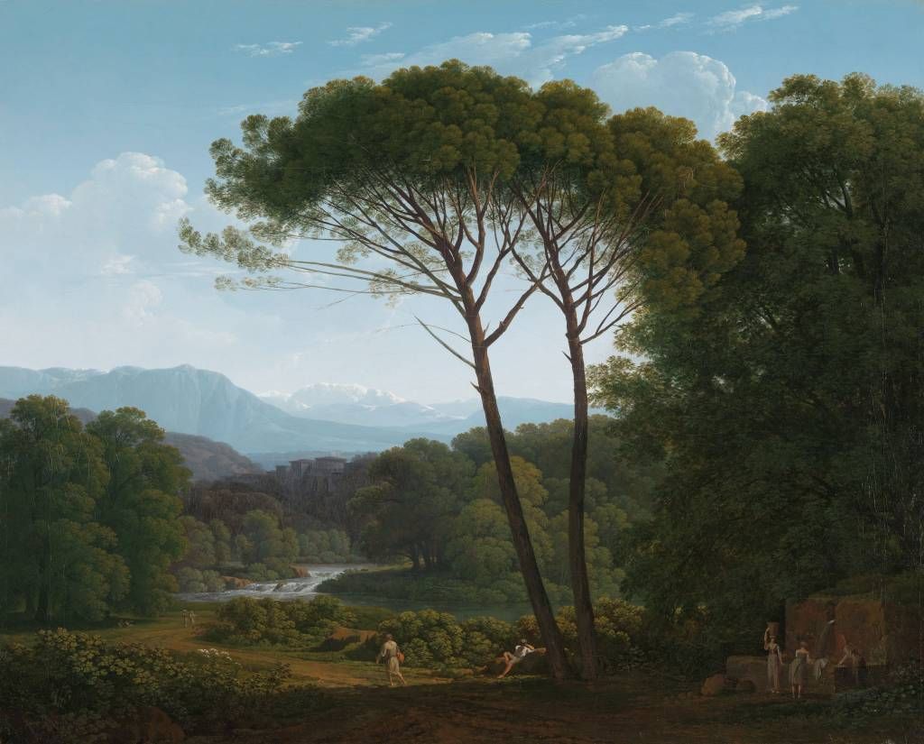 Italian landscape with pine trees