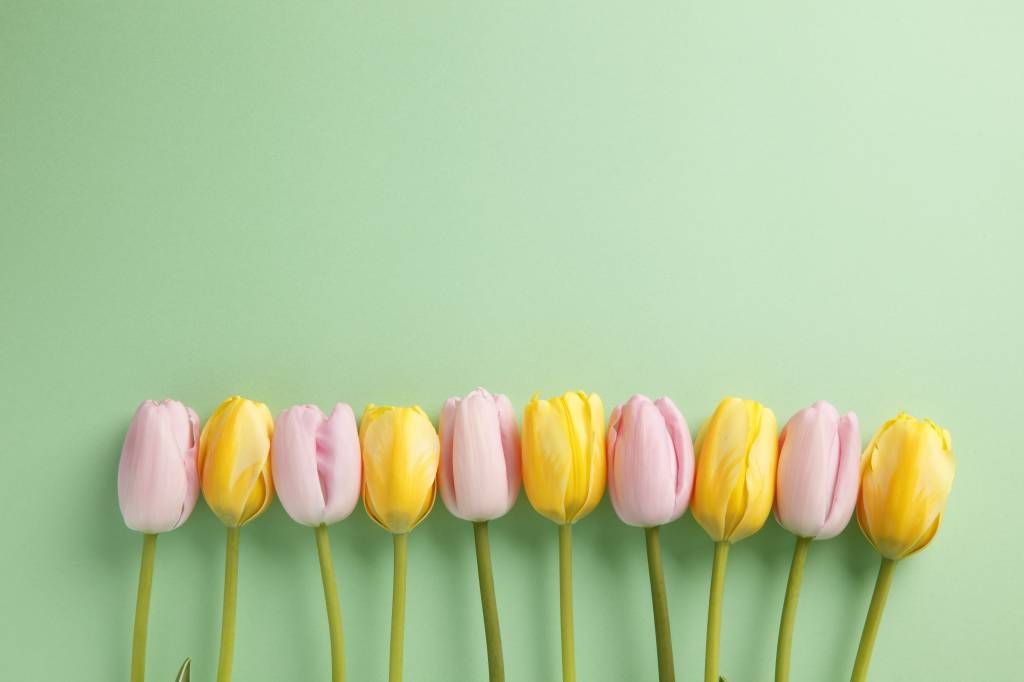 Small tulips on mint green