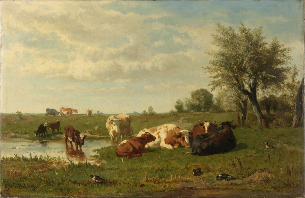Koeien in de weide