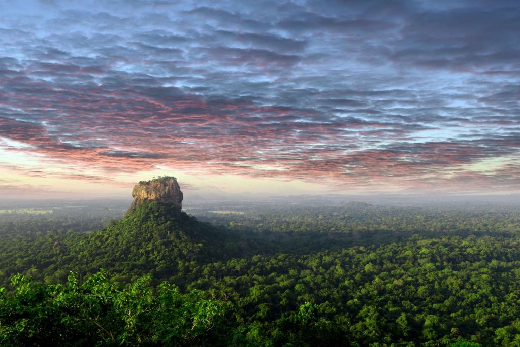 Leeuwenrots in Sri Lanka
