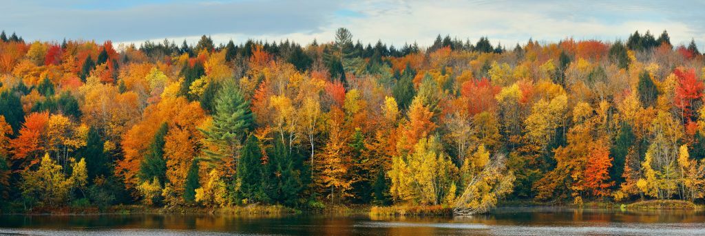 Lake with autumn trees