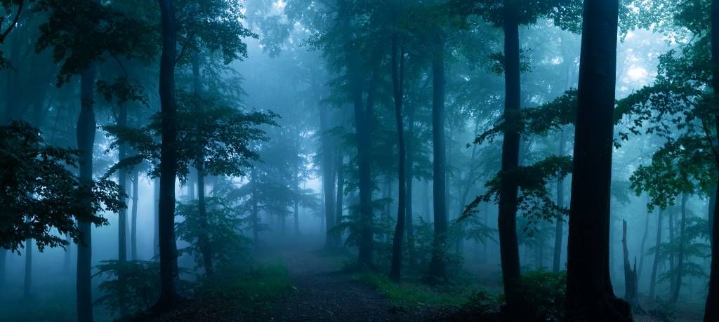 Nebula forest