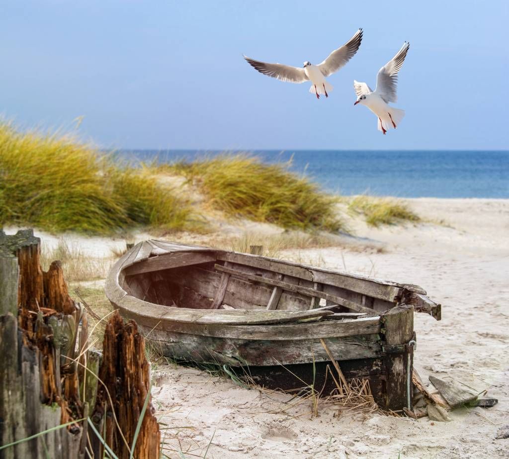 Old fishing boat, seagulls, beach and sea