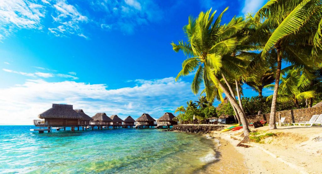 Palmbomen op Bora Bora