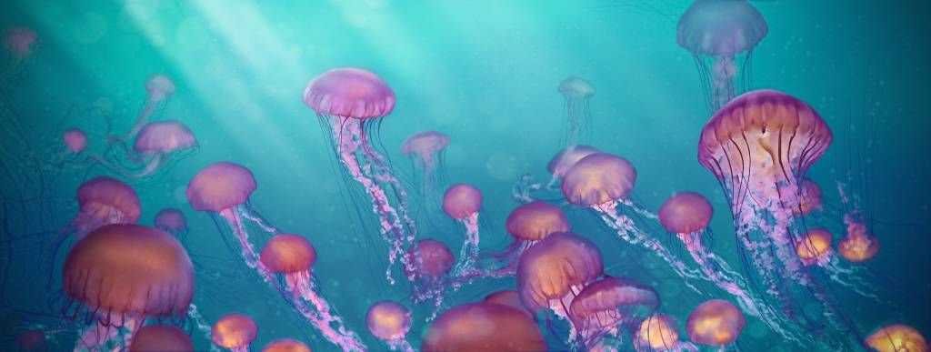 Pink jellyfish in blue sea