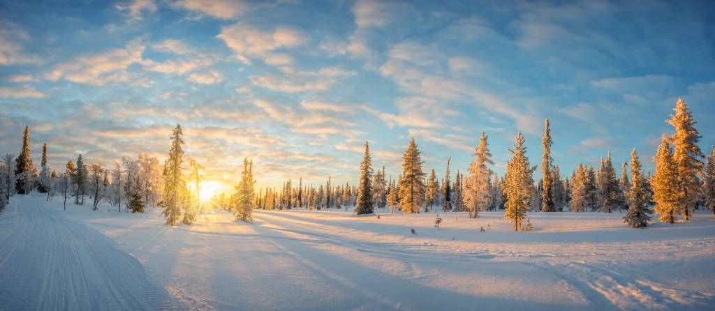 Snow landscape at sunset