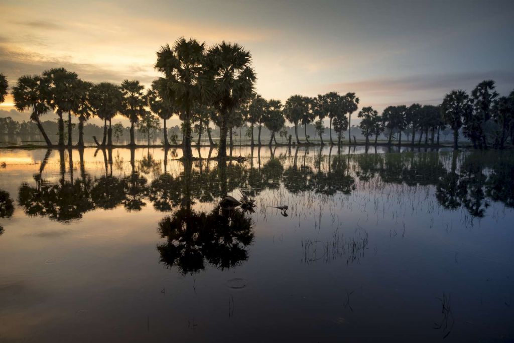 Tropisch landschap in Vietnam