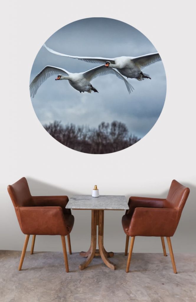 Wallpaper circle Flying swans