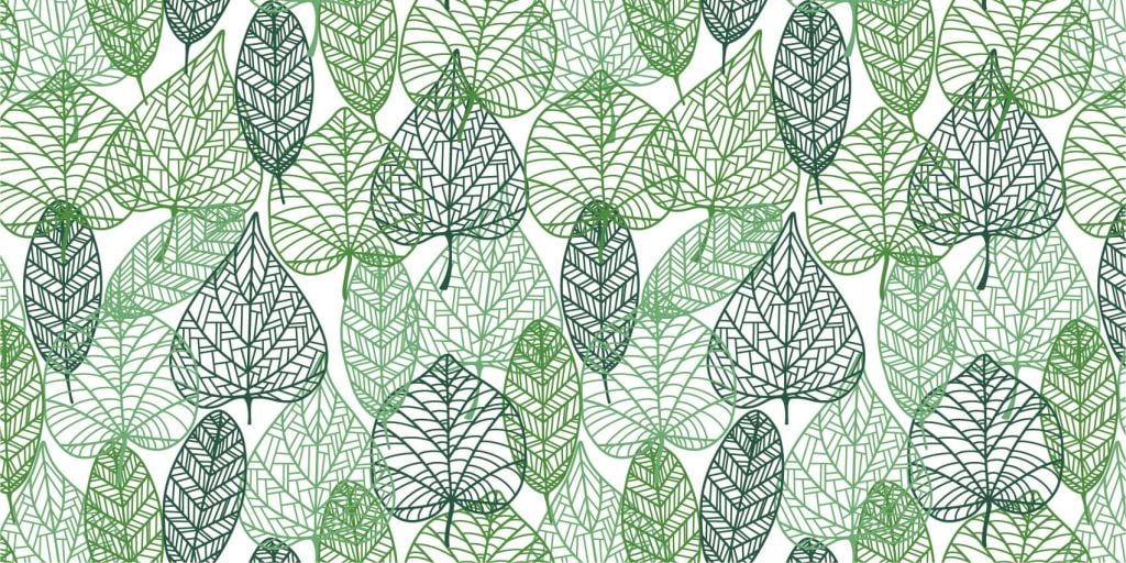 Openwork green leaves