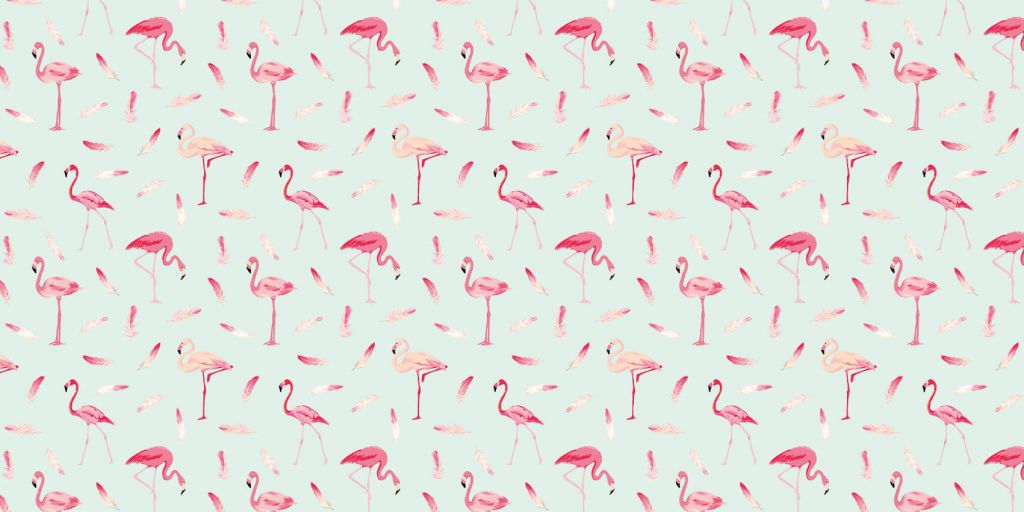 Flamingos