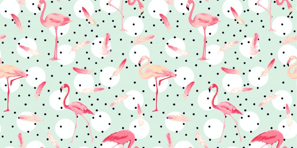 Flamingos and feathers