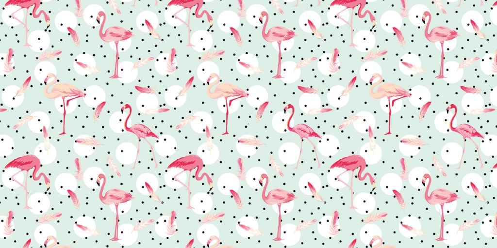 Flamingos and feathers
