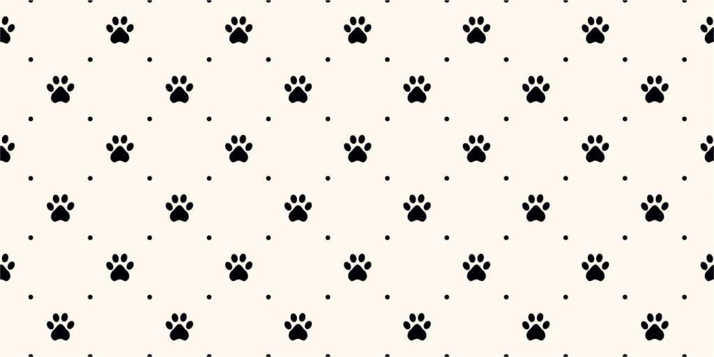 Dog feet