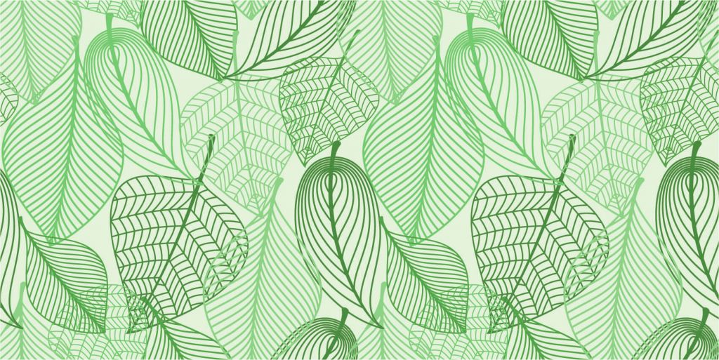 Green leaves drawn