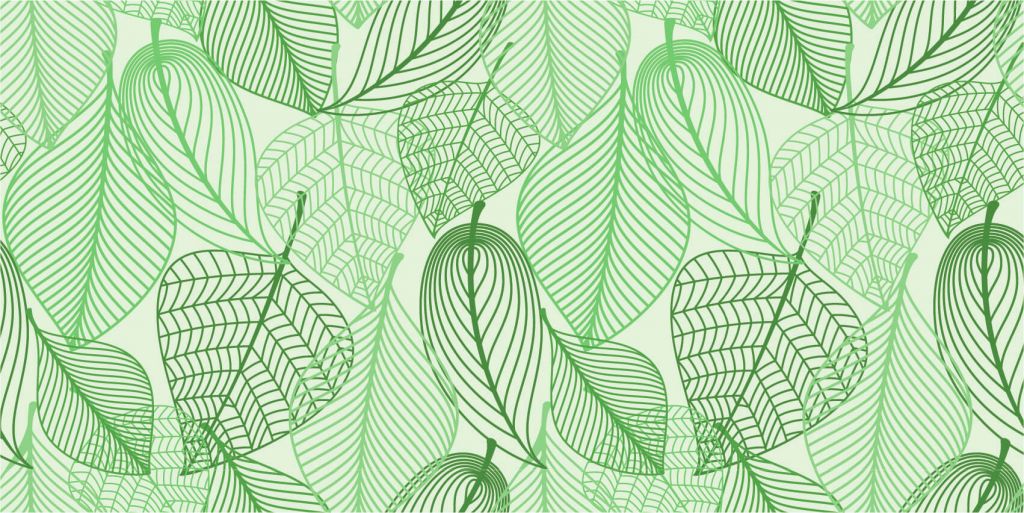 Green leaves drawn