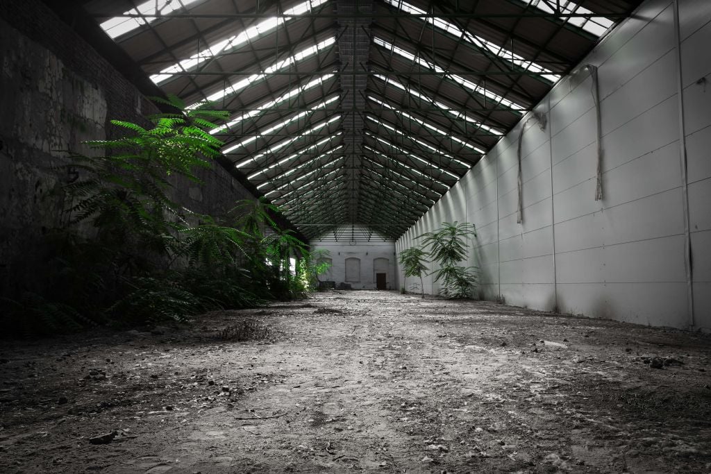 Industrial hall with plants