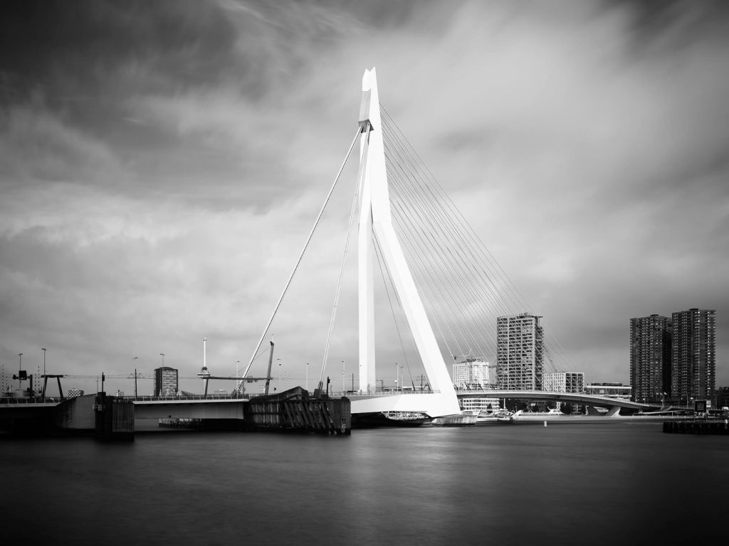 Erasmus Bridge Rotterdam