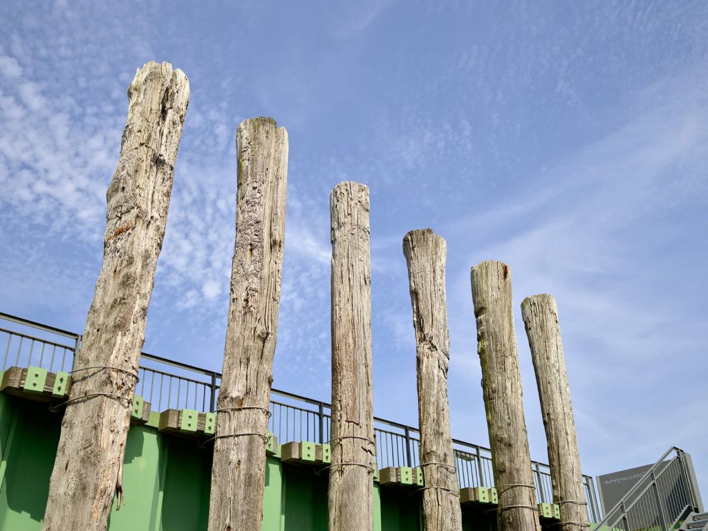 Wooden posts 