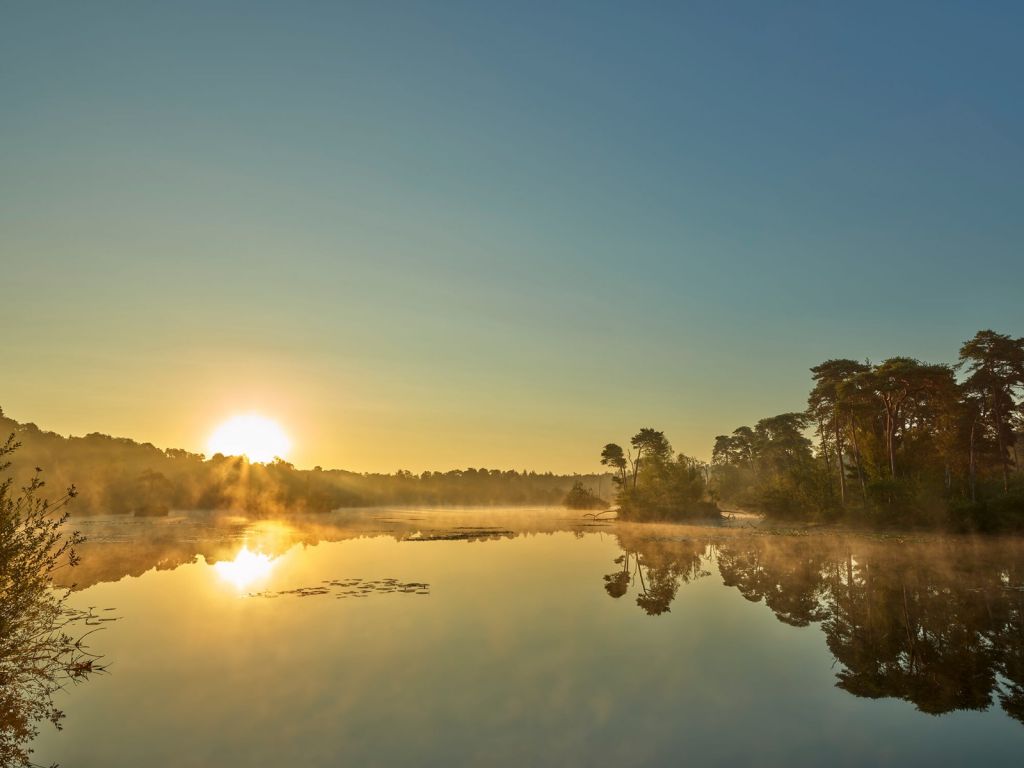 Sunrise at forest lake