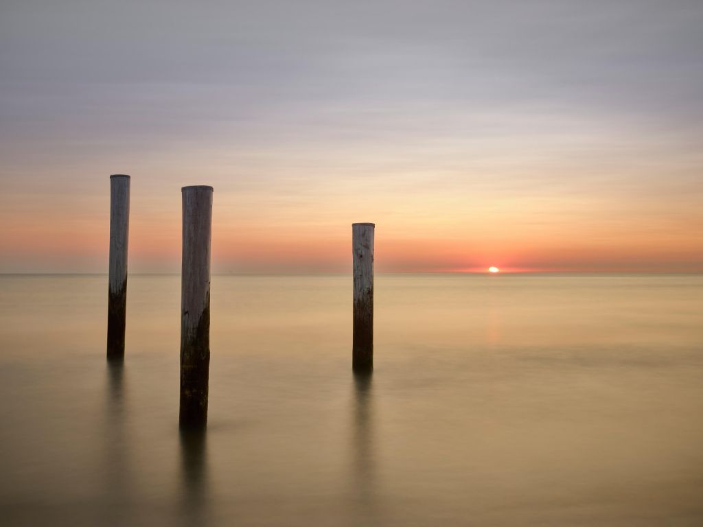 Three wooden posts