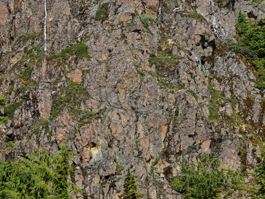 Rocks with trees