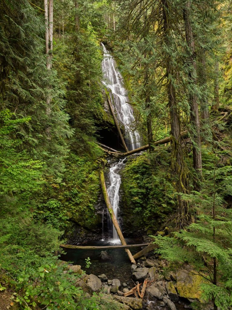 Waterfall with fallen trees