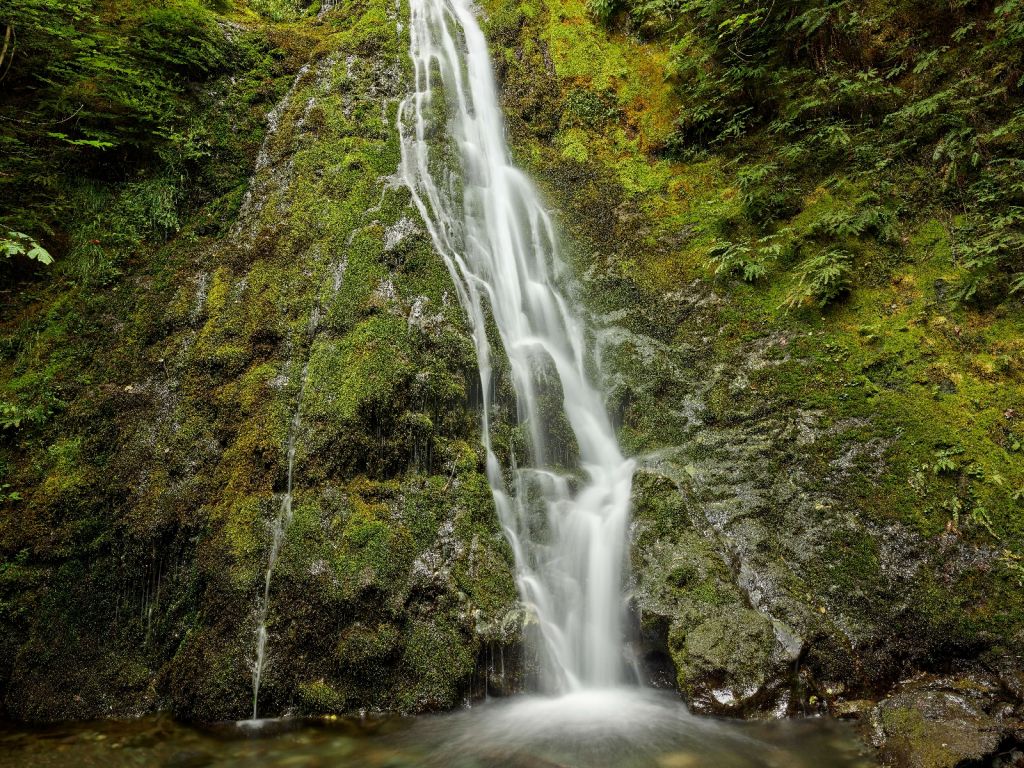 Waterfall with beautiful greenery