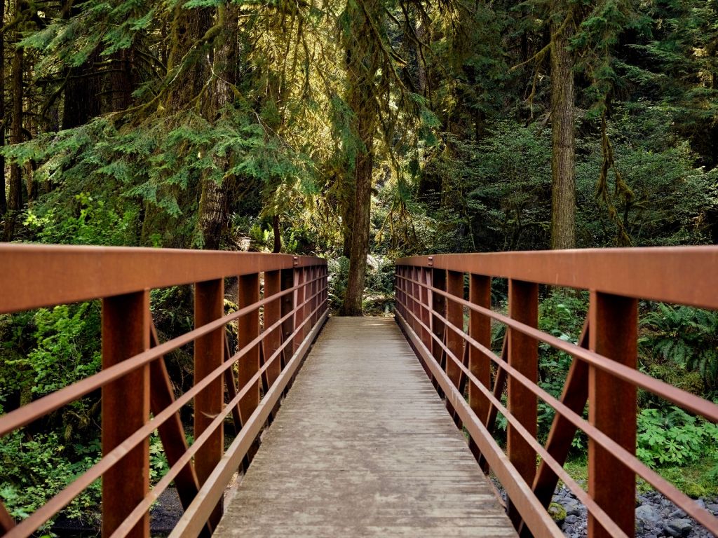 Rusty bridge in the forest 