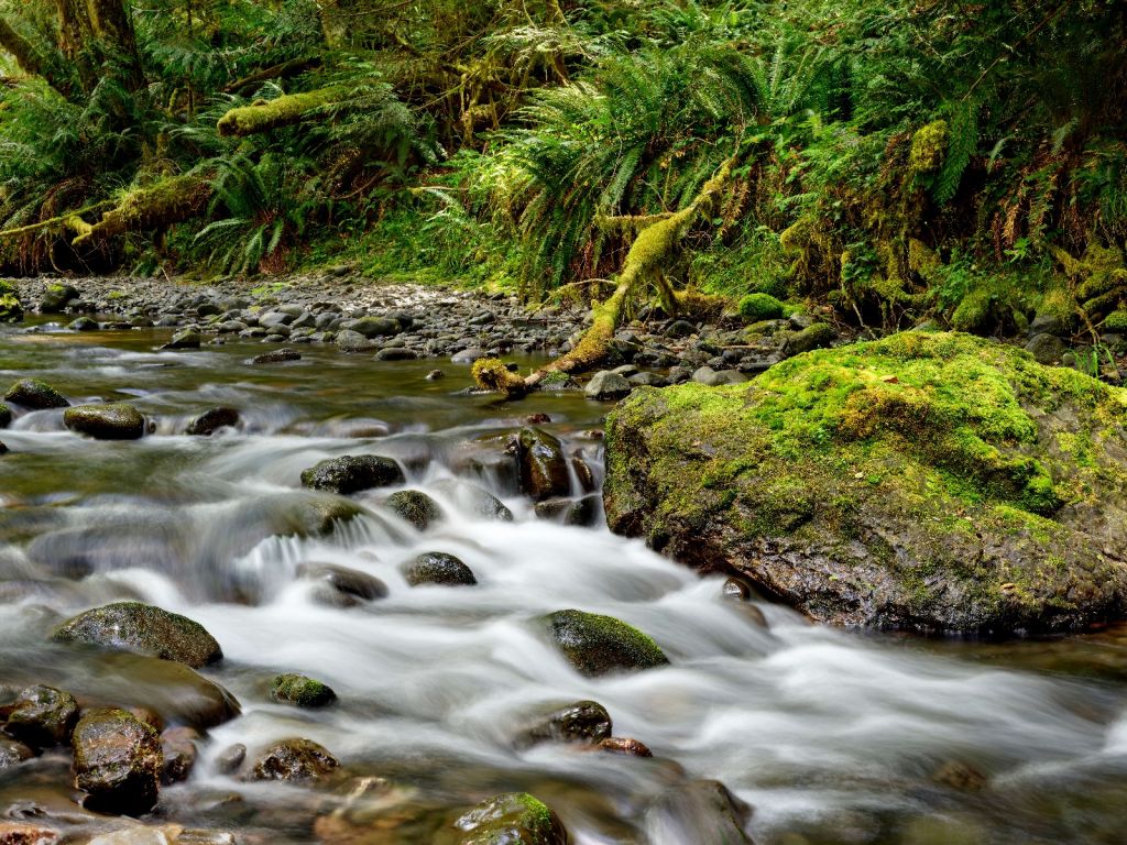 Green rock with river 