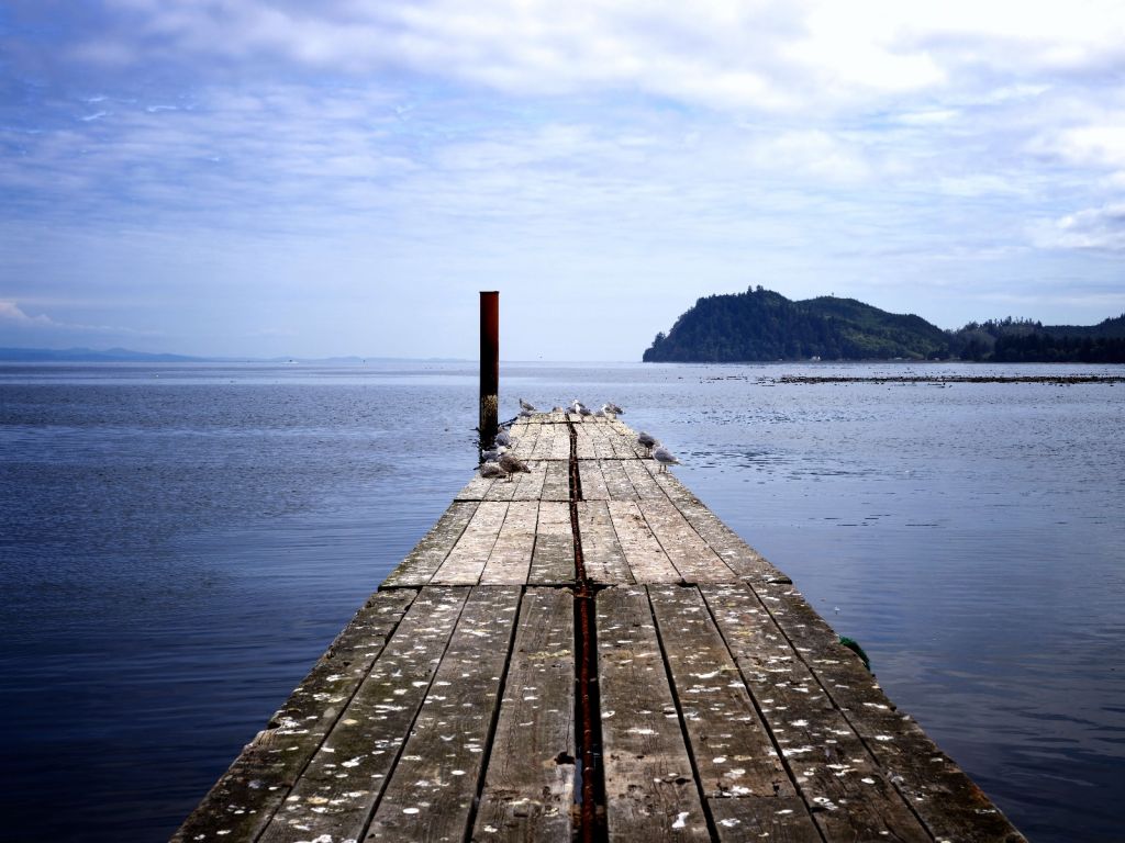 Scaffolding in the sea 