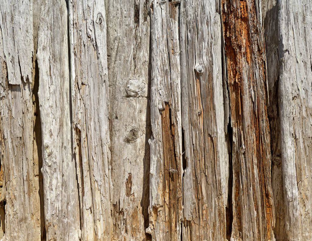 Vertical old wood