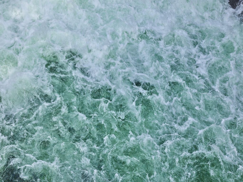 Wild water