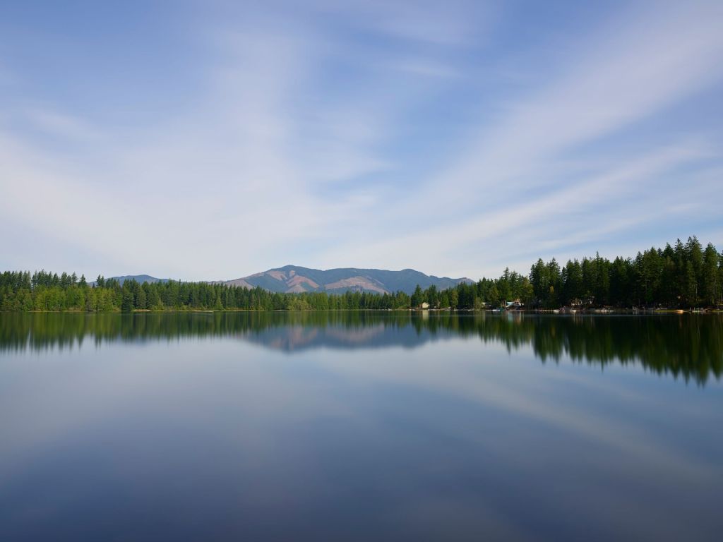 Reflection in the lake