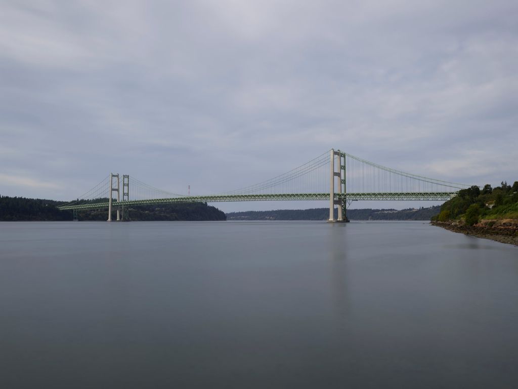 Double bridge