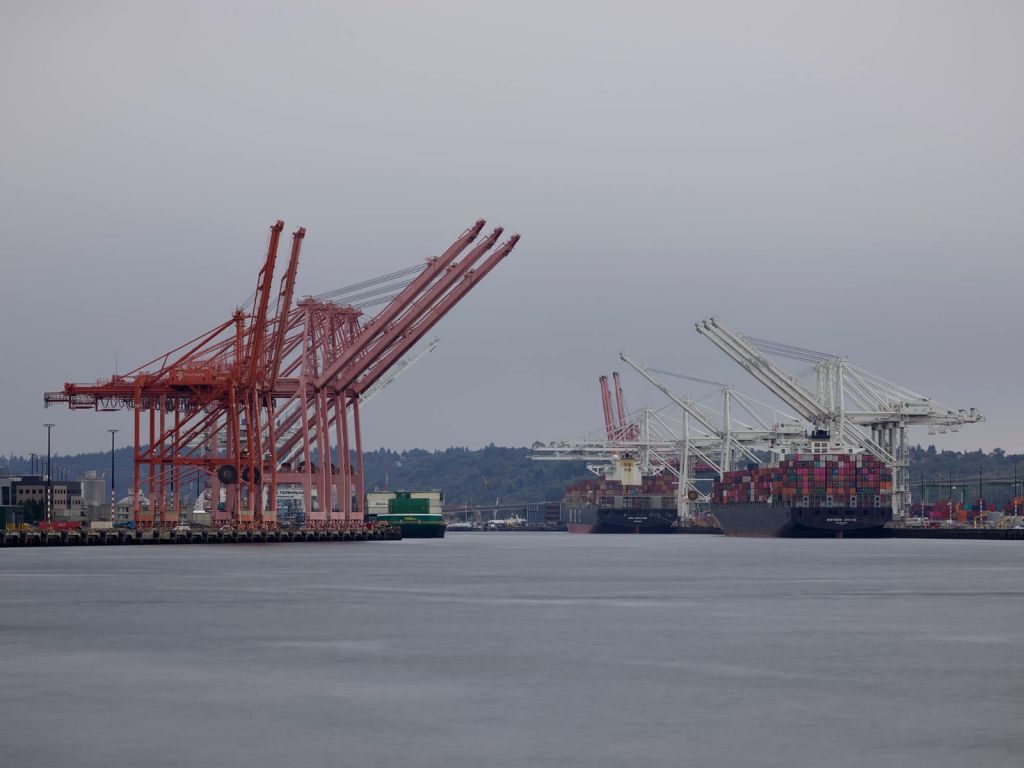 Cranes in the harbour