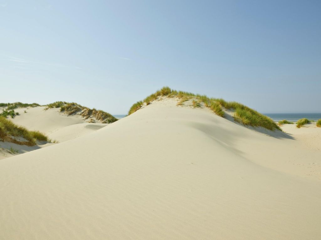 Dunes on the beach