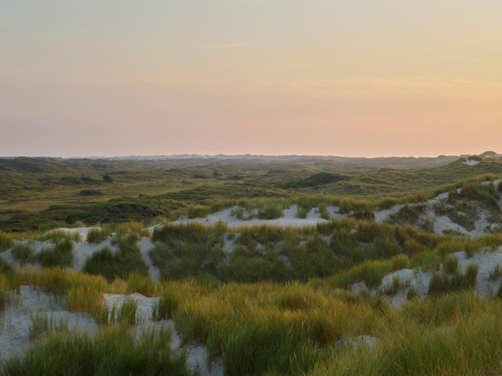 Sunset in the dunes