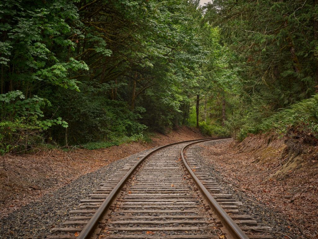 Railway line through the forest