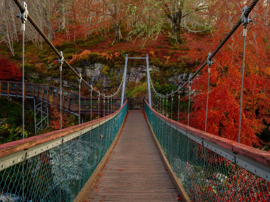 Bridge in autumn setting