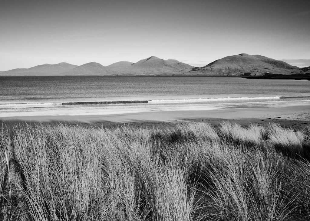 Marram grass, beach and mountains