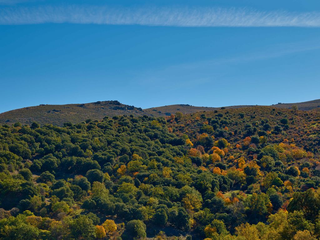 Autumn in the mountains