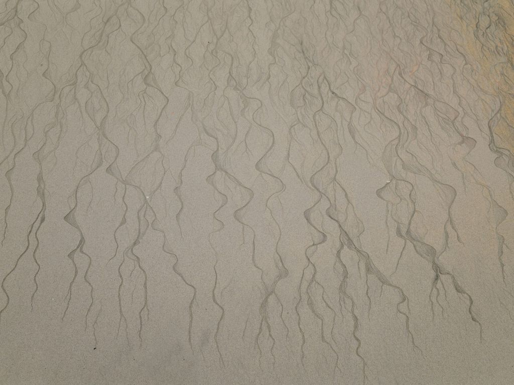 Vein pattern in the sand