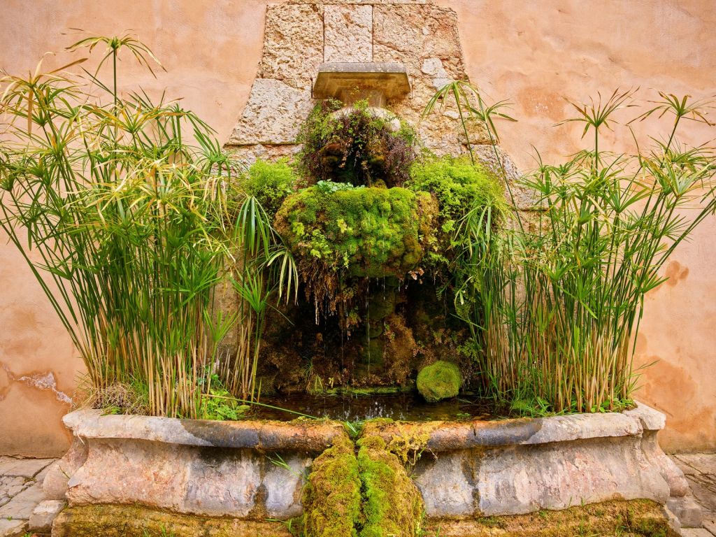 Old pond