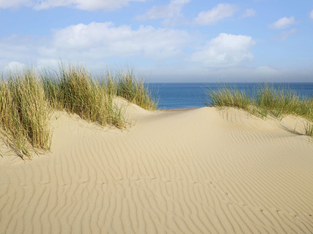 Dune passage to the beach