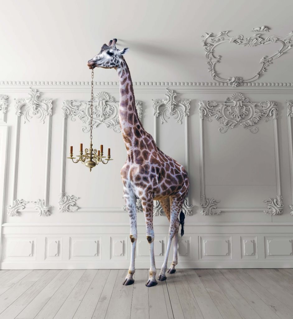 Giraffe with candlestick
