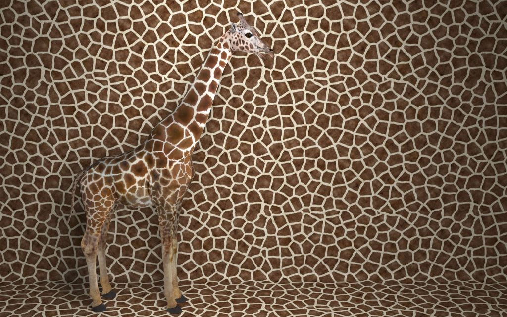 Camouflaged giraffe
