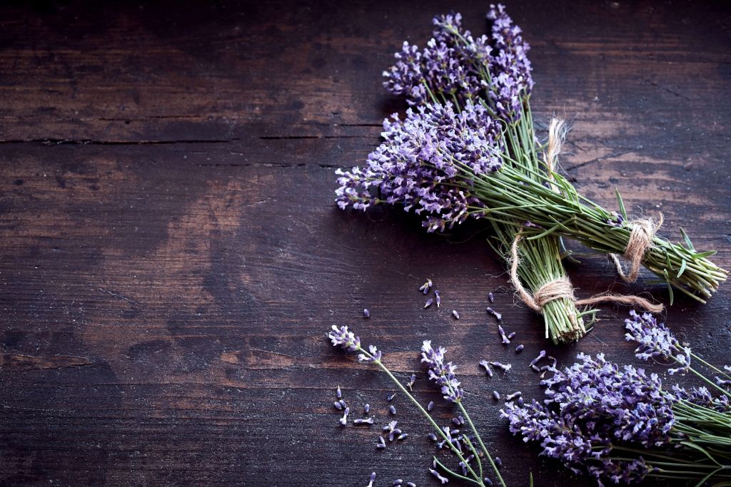 Bushes of lavender
